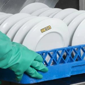 Dishwasher Temperature Strips